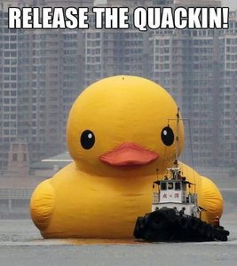 Have you heard the tale of "Quack" the duck?