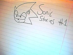  SONIC STORIES #1