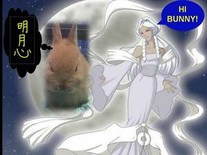  Princess Yue (version Von megoomba) adopts wordbender as moonbunny