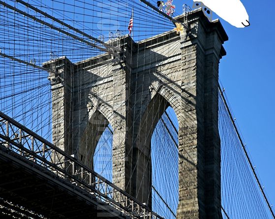  Brooklyn Bridge fight