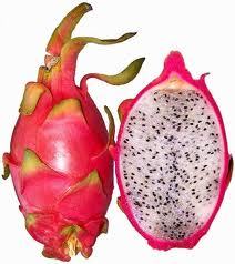  Here's what a dragon frutas looks like, if your curious :)