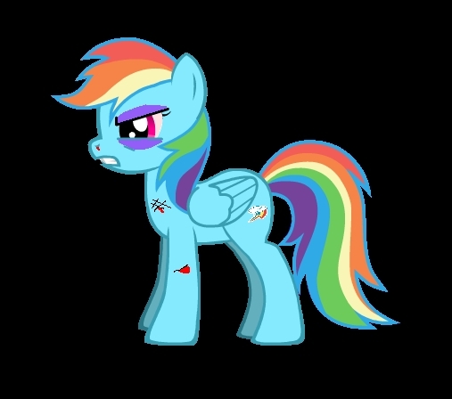 Rainbow dash after her fight with Gilda