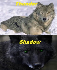  Thunder and Shadow