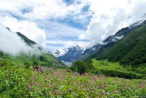  valley of flores