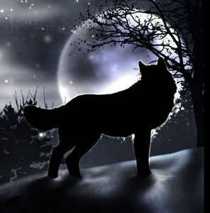 Angel Wolf in the moonlight
