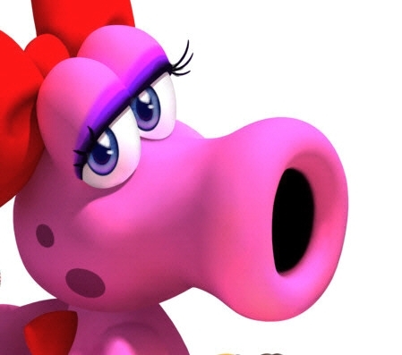  How Birdo looked in Yoshi's eyes at a point and time.