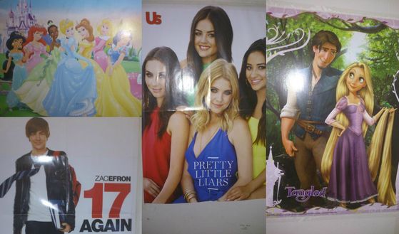  These are the posters in my bedroom. Yeah, Zac Efron, ew! But I had to do something to impress my friends.