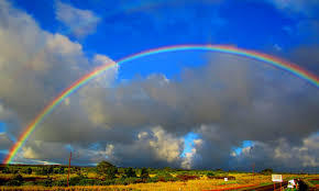  the pelangi, rainbow