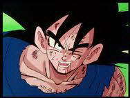  Goku, at hte end of the fight...