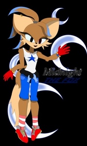  Midnight the zorro, fox drawn por TakTheFox😃