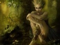  A Faery in the Woods