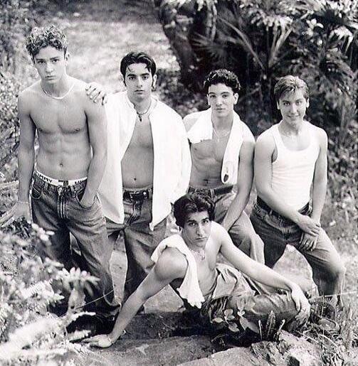  From left Justin, Chris K., JC Chasez, Lance باس, گھنگھور and Joey Fatone