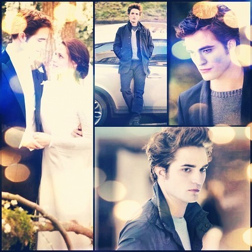  Twilight Saga Edward & Bella