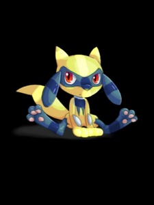 Kinjin as a Riolu, born from the Golden Flower of the Blue Moon.