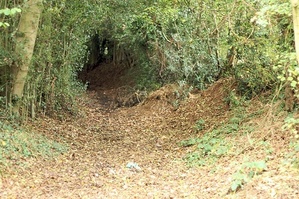  The Aura höhle, den