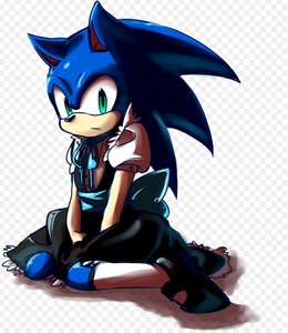  Sonic in his maid outfit.