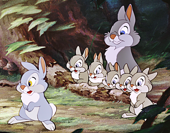 Thumper was the comic hit of the movie. Here he - typically - stands out in front of the rest of the family. Mrs. Rabbit, also seen here, was noticeable less on screen than in the soundtrack.