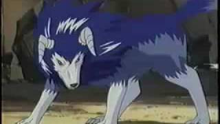  Tigerrus looks similar to this.(Tiger of the Wind)