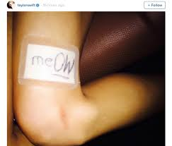  the playful pun she put on her plaster meOW