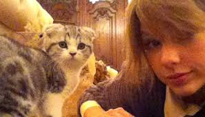  her and meredith her cat
