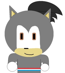  Sonic's cousin, Sean