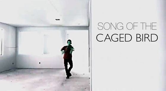  Utilize Album 壁紙 (song of the caged bird)