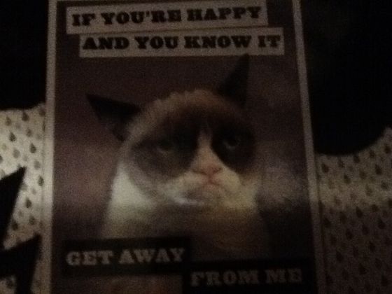  If your happy and bạn know it get away from me says grumpy cat