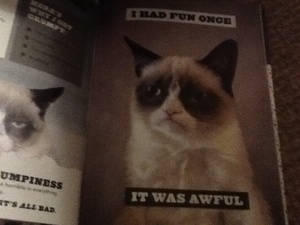  I had fun once it was awful says grumpy cat