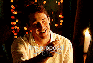  3. The proposal.