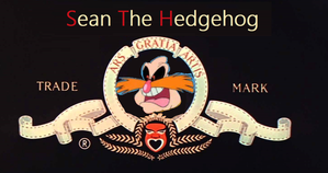  The following is a SeanTheHedgehog Production