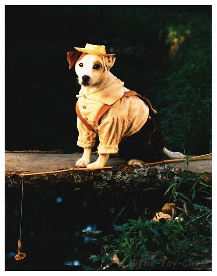Wishbone as Tom Sawyer, a boy who finds more adventures than he thought he would