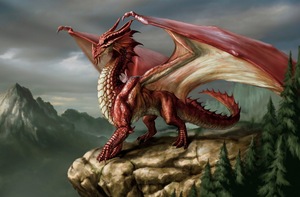  Western Dragon