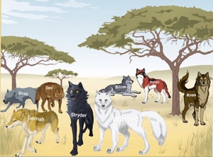  The loup Pack