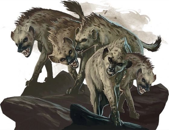  The Hyenas