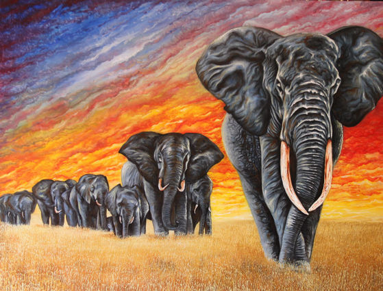  The Elephants