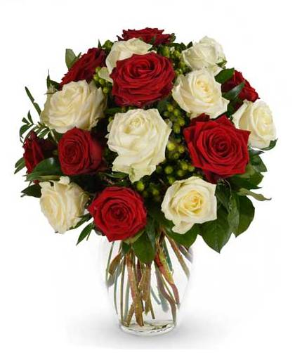  White and Red rosas