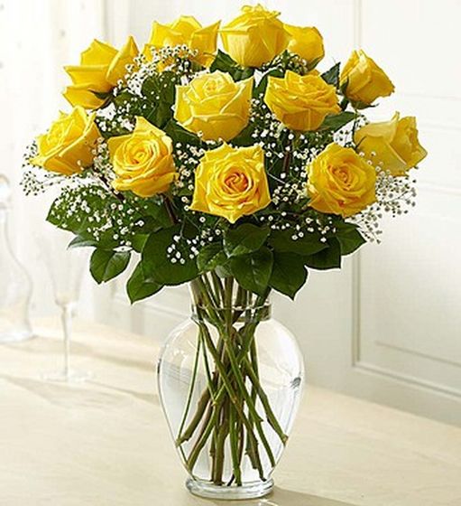  Yellow rosas