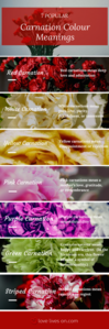  Basic idea of Carnation colours