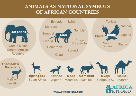  A basic overview of Africa's National animaux according to their countries.