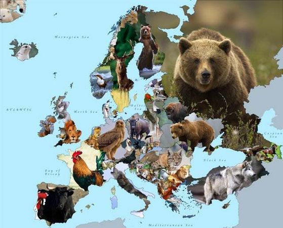  A basic overview of Europe's National animaux