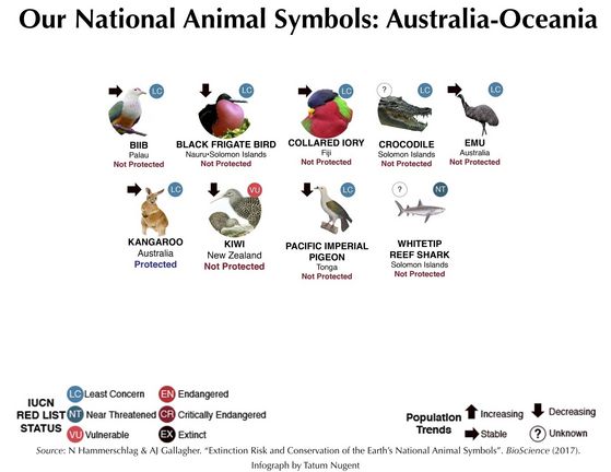 A basic overview of Australia's National animaux