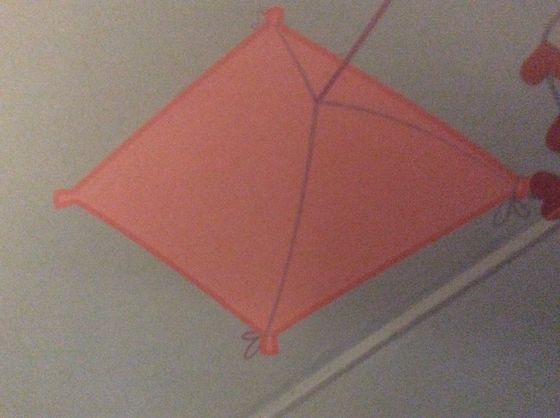  2 गुलाबी पतंग