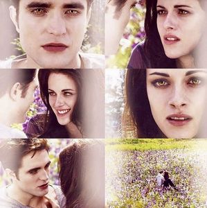 my top 2 fave Twilight Saga characters AND my #1 fave couple  ALWAYS AND FOREVER!!!