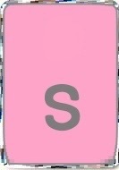Pink Rectangle S