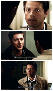  día 11: favorito! Quote "No, He's not on any flatbread." ~ Castiel