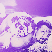  ROUND 167 : [b] Leonardo DiCaprio [/b] 1. Animal