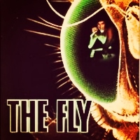  CAT 2 The Fly