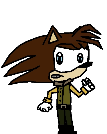 Name:Daniel
Gender:Male
Age:17
Species:Hedgehog"AND"human
Powers:Invisibility,Darkness
Apearance