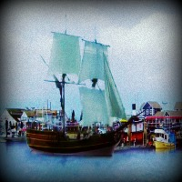  2.Hook's Ship