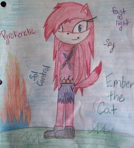 Name- Ember the Cat
Age- 16
Gender- Female
Personality- aloof, nice 2 friends
Apperence- In pic
